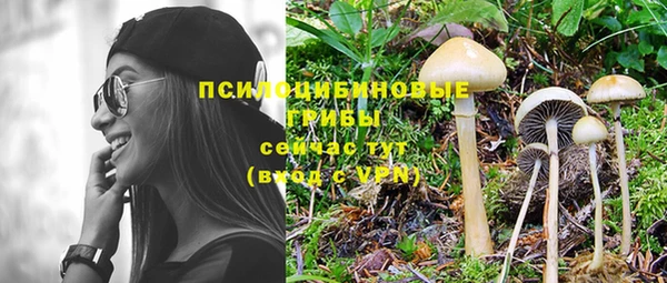 бутират Зеленодольск