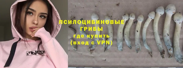 скорость mdpv Заводоуковск