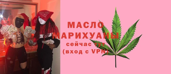 молекула духа Ельня