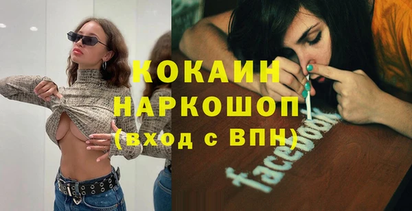 ГАЛЛЮЦИНОГЕННЫЕ ГРИБЫ Дмитриев