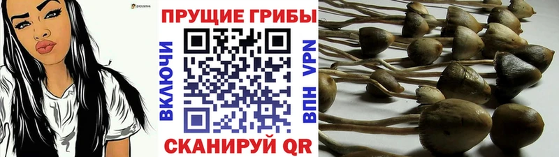 Галлюциногенные грибы мухоморы  сколько стоит  Иноземцево 